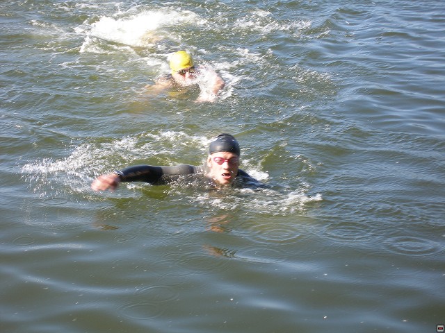 img00005.jpg