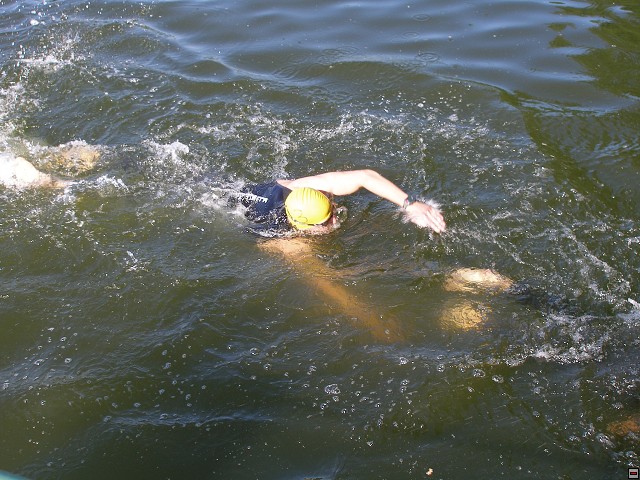 img00006.jpg