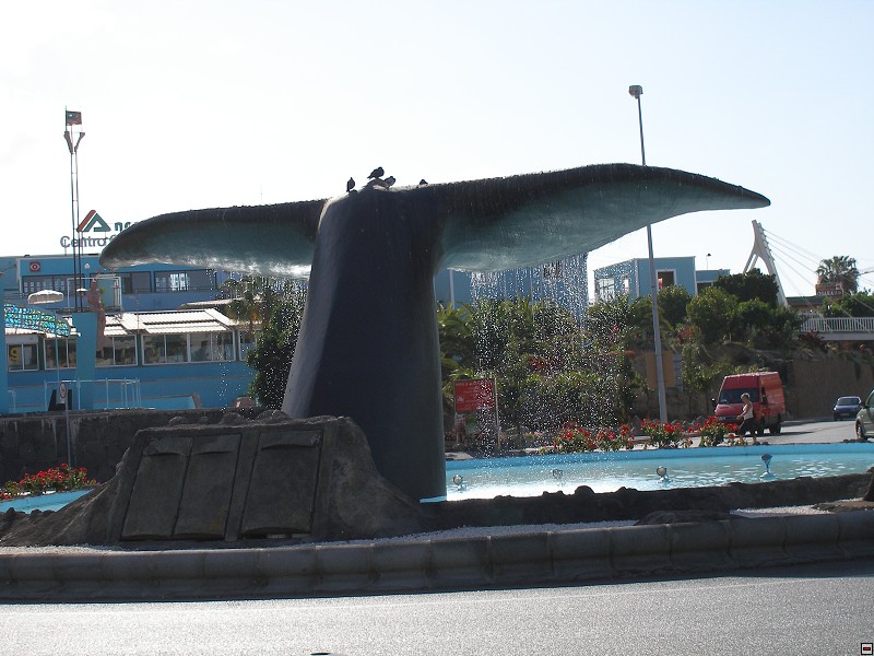 img00008.jpg