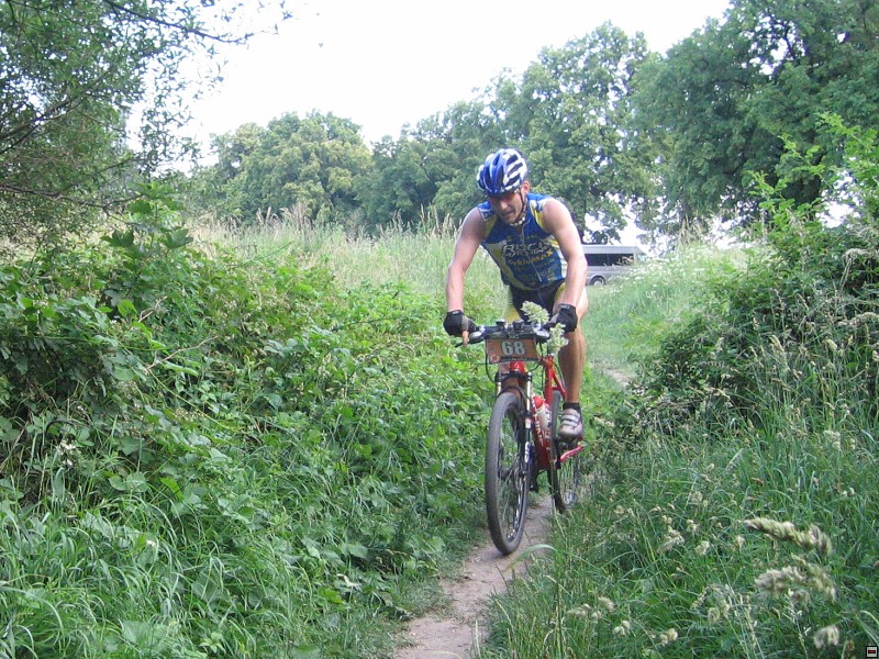 img00007.jpg