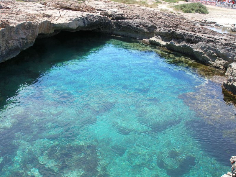 img00008.jpg