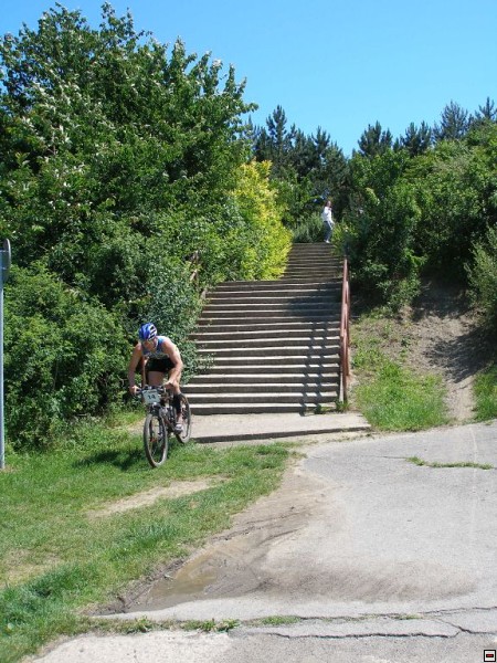 img00005.jpg