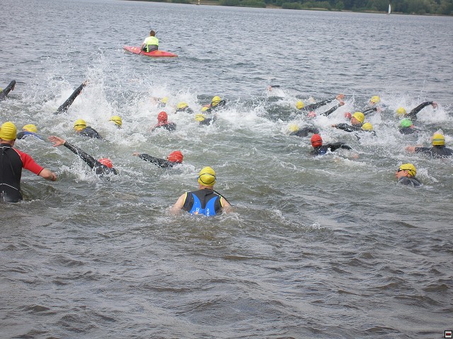 img00010.jpg